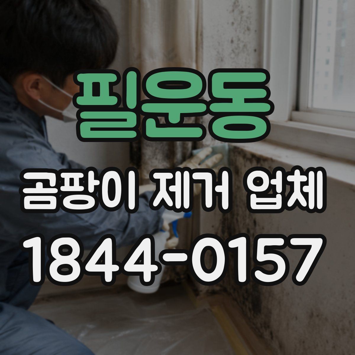 필운동 곰팡이 제거 업체 오염 상태에 따라 달라지는 장비와 공정