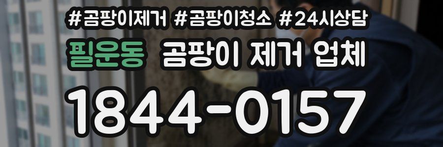 필운동 곰팡이 제거 업체