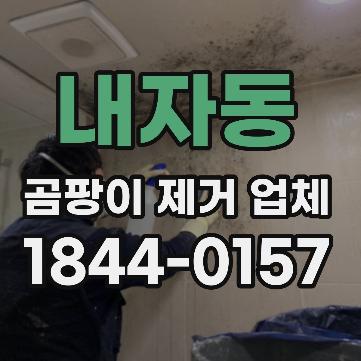 내자동 곰팡이 제거 업체