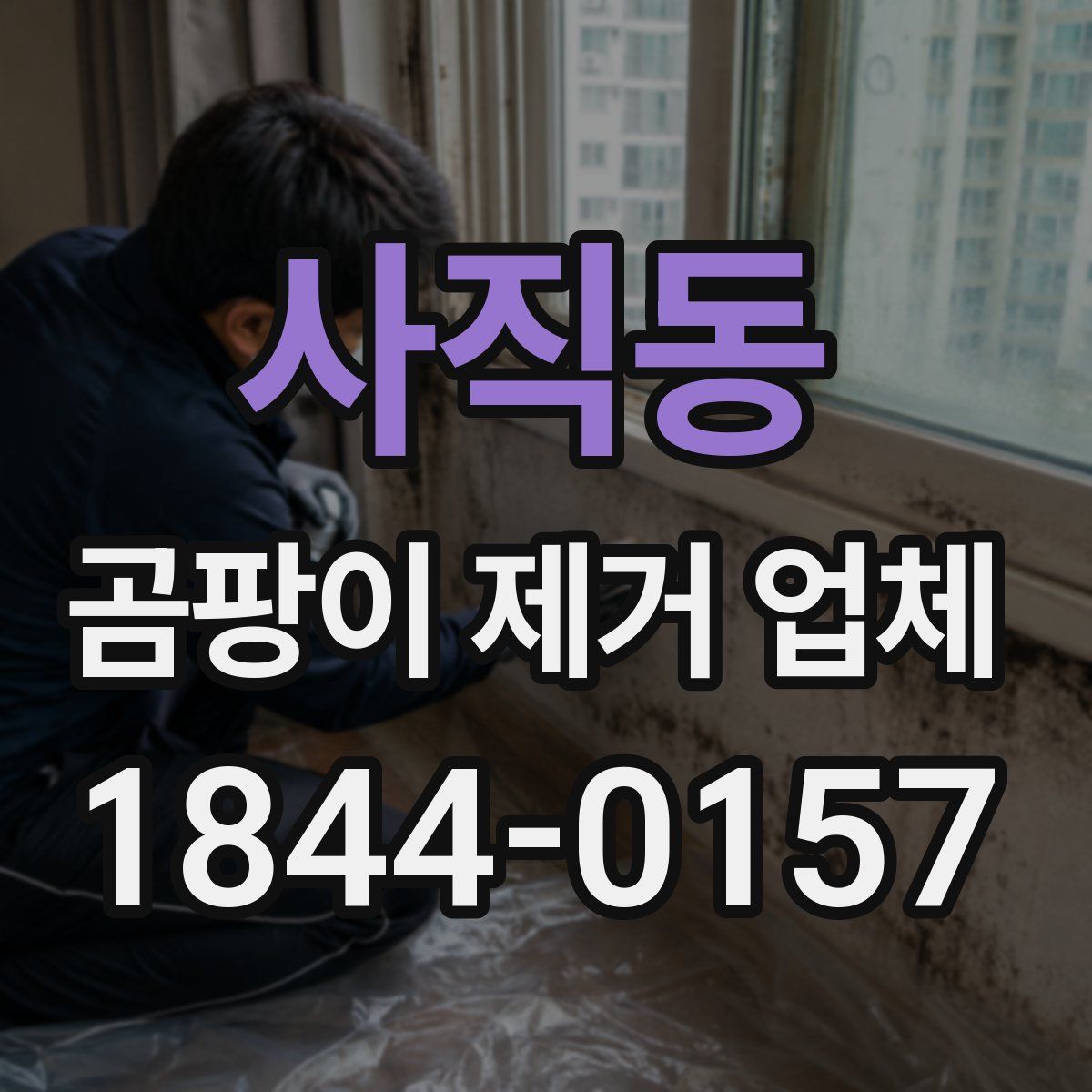 사직동 곰팡이 제거 업체