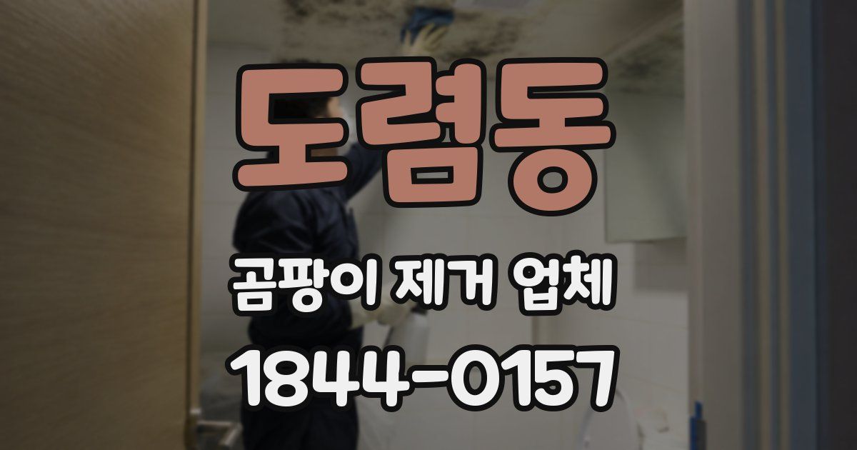 도렴동 곰팡이 제거 업체