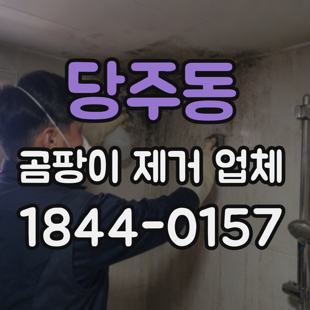 당주동 곰팡이 제거 업체