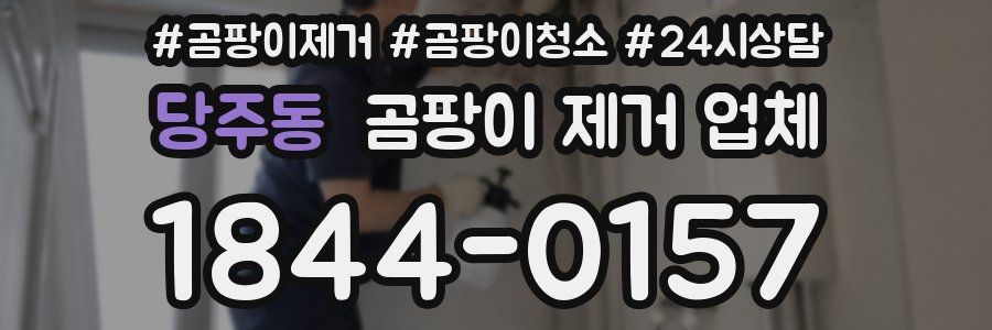 당주동 곰팡이 제거 업체