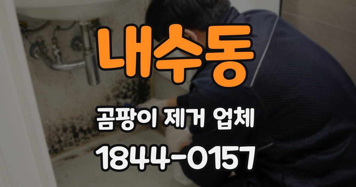 내수동 곰팡이 제거 업체