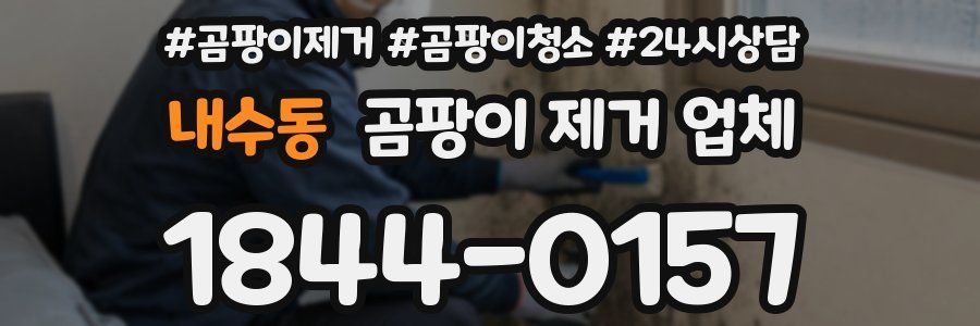 내수동 곰팡이 제거 업체