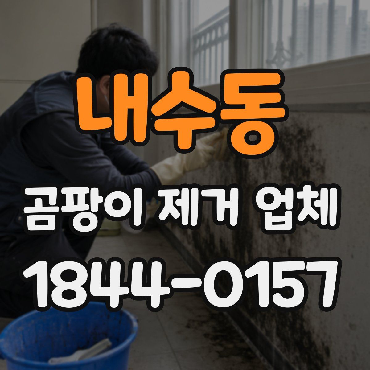 내수동 곰팡이 제거 업체