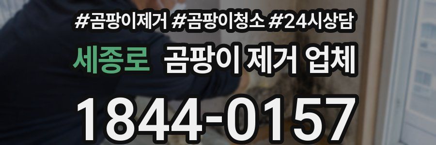 세종로 곰팡이 제거 업체