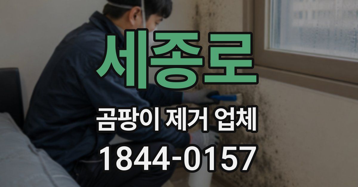 세종로 곰팡이 제거 업체