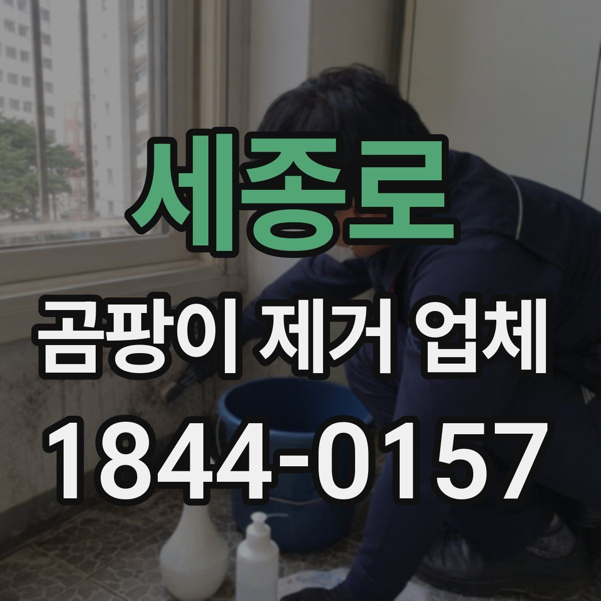 세종로 곰팡이 제거 업체