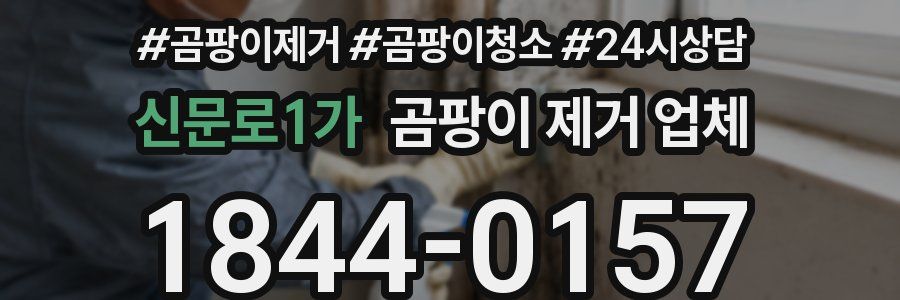 신문로1가 곰팡이 제거 업체