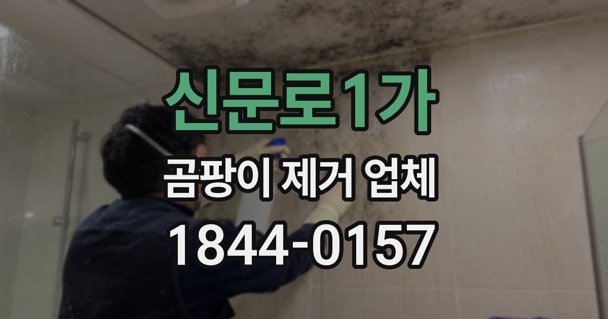 신문로1가 곰팡이 제거 업체