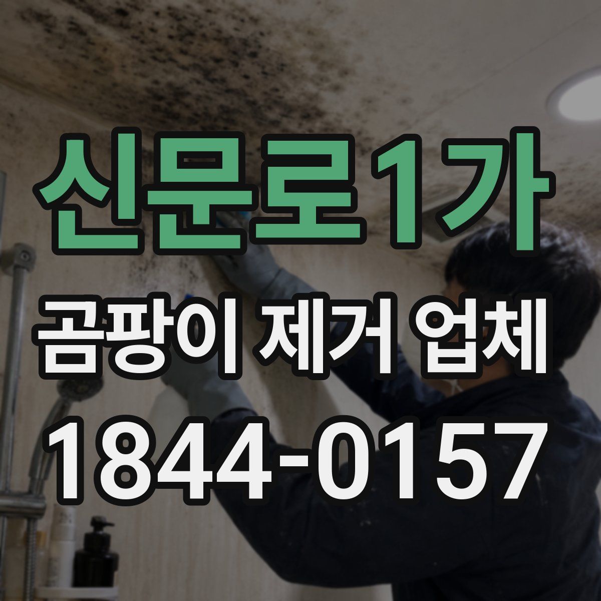 신문로1가 곰팡이 제거 업체