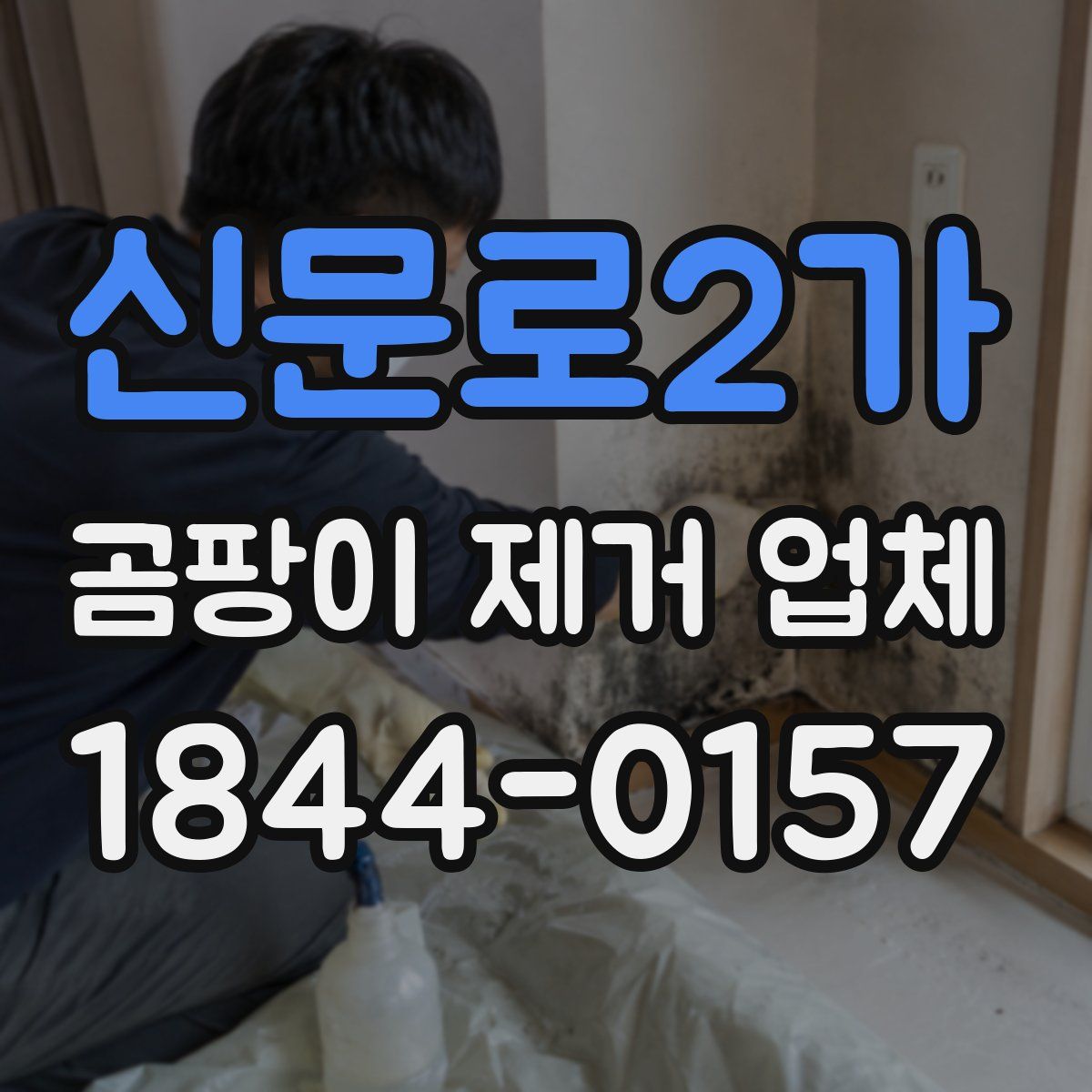 신문로2가 곰팡이 제거 업체