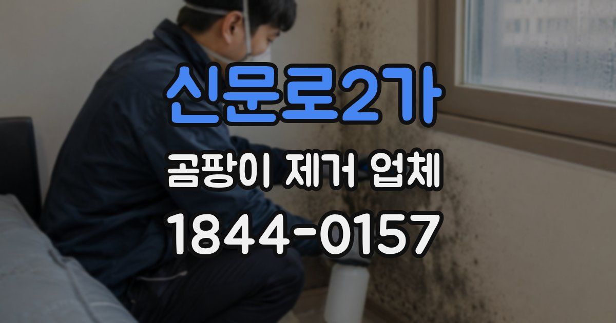 신문로2가 곰팡이 제거 업체