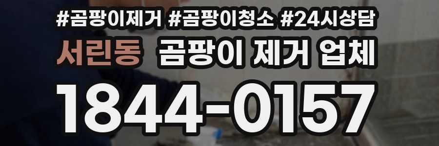 서린동 곰팡이 제거 업체