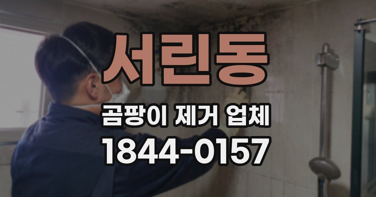 서린동 곰팡이 제거 업체