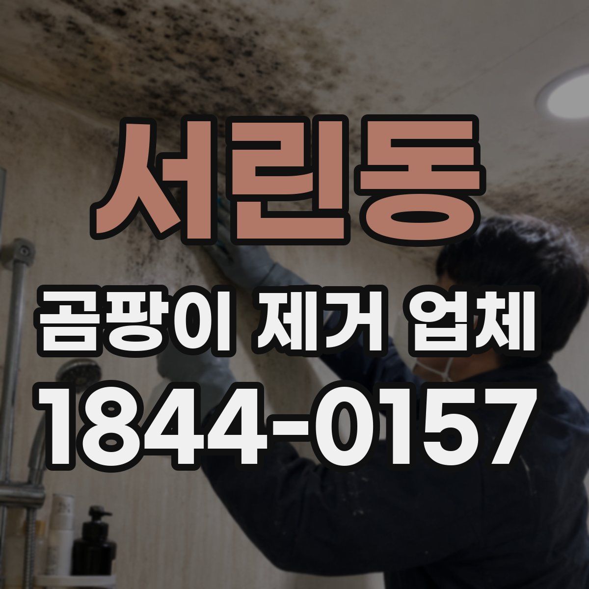 서린동 곰팡이 제거 업체