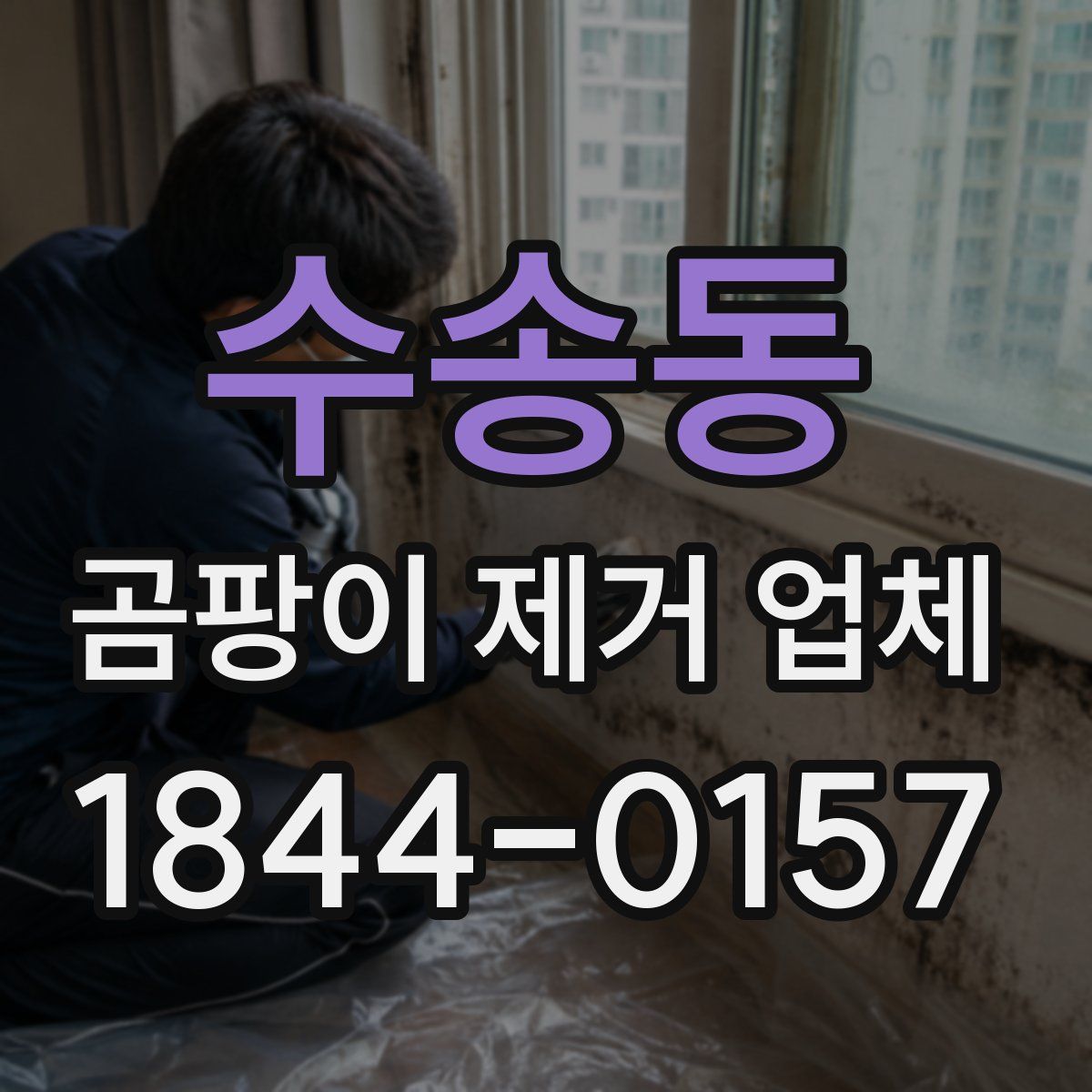 수송동 곰팡이 제거 업체