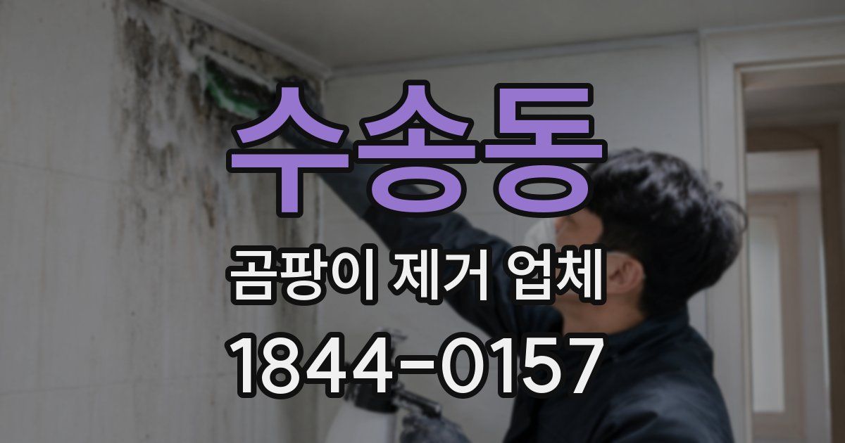 수송동 곰팡이 제거 업체