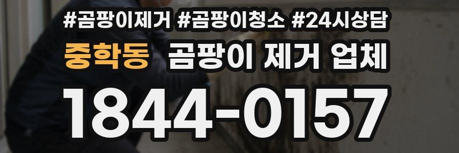 중학동 곰팡이 제거 업체