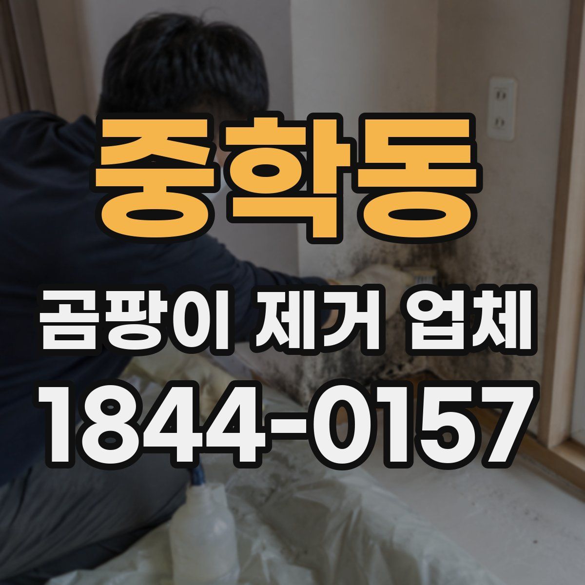 중학동 곰팡이 제거 업체