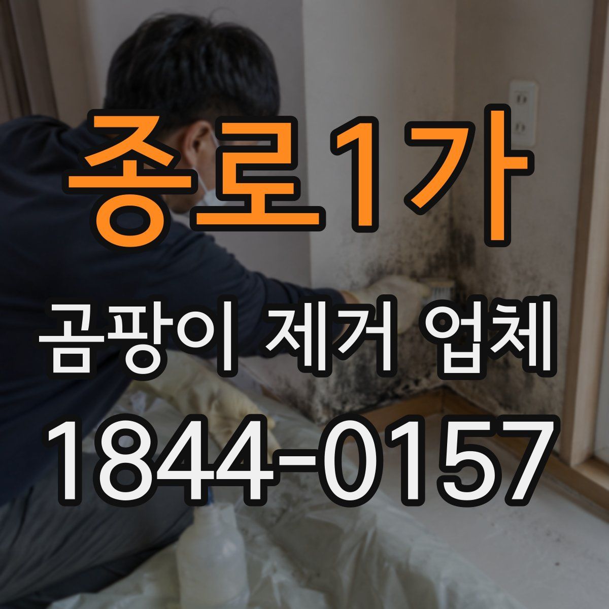 종로1가 곰팡이 제거 업체