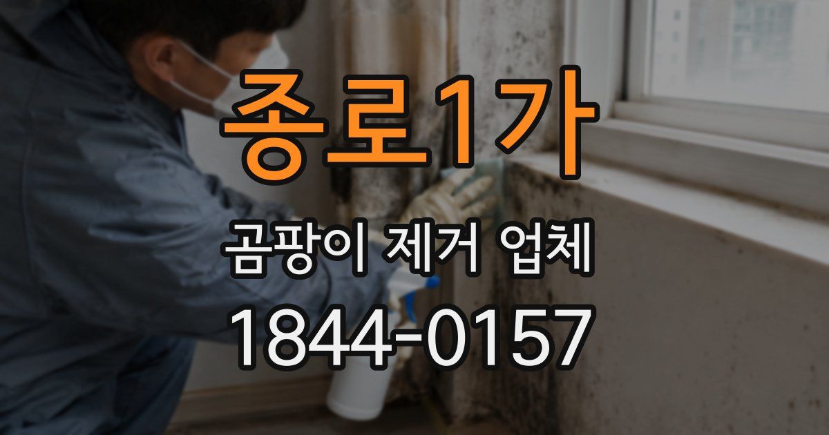 종로1가 곰팡이 제거 업체