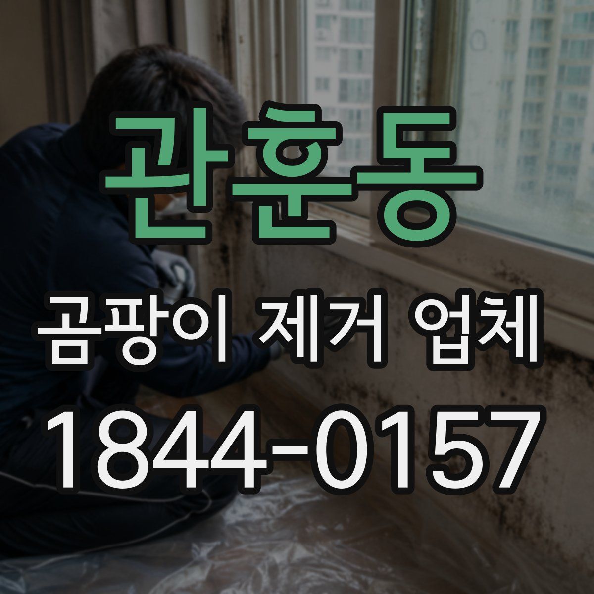 관훈동 곰팡이 제거 업체