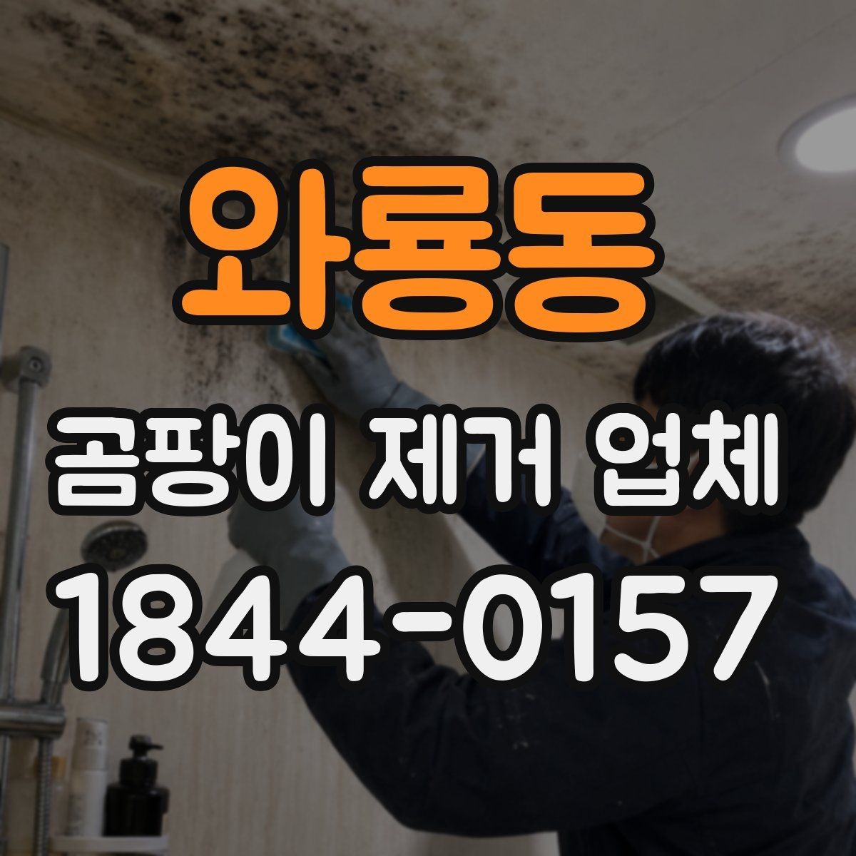 와룡동 곰팡이 제거 업체 세대 간 습기 영향까지 살피는 진단 방식