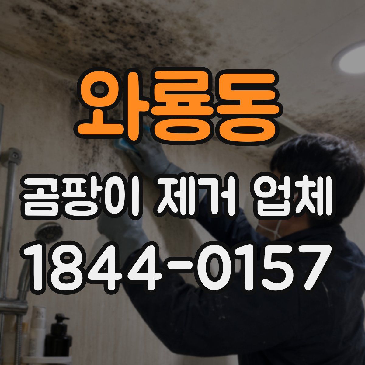 와룡동 곰팡이 제거 업체