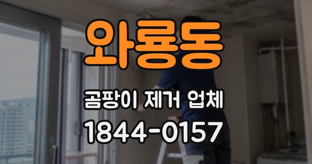 와룡동 곰팡이 제거 업체