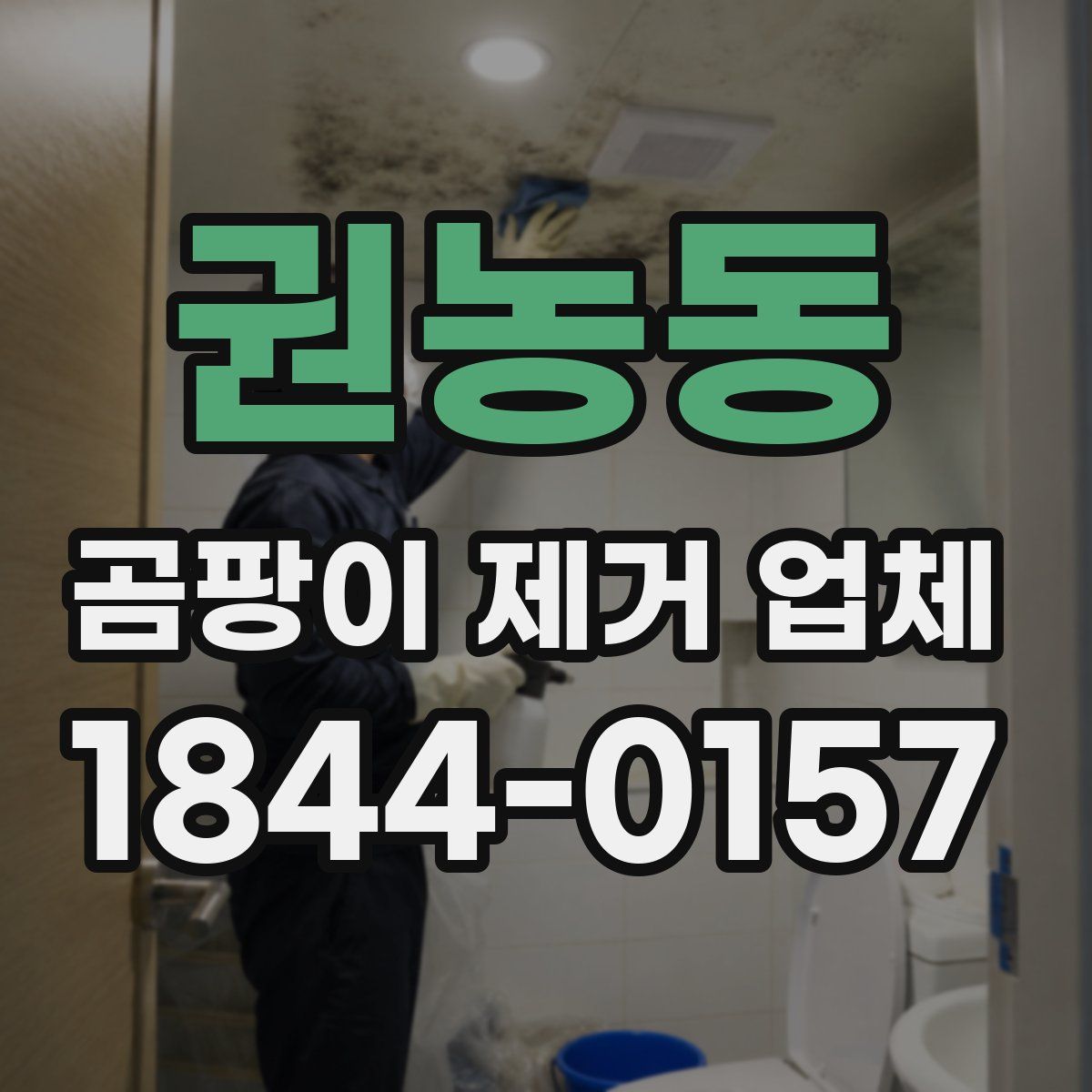 권농동 곰팡이 제거 업체