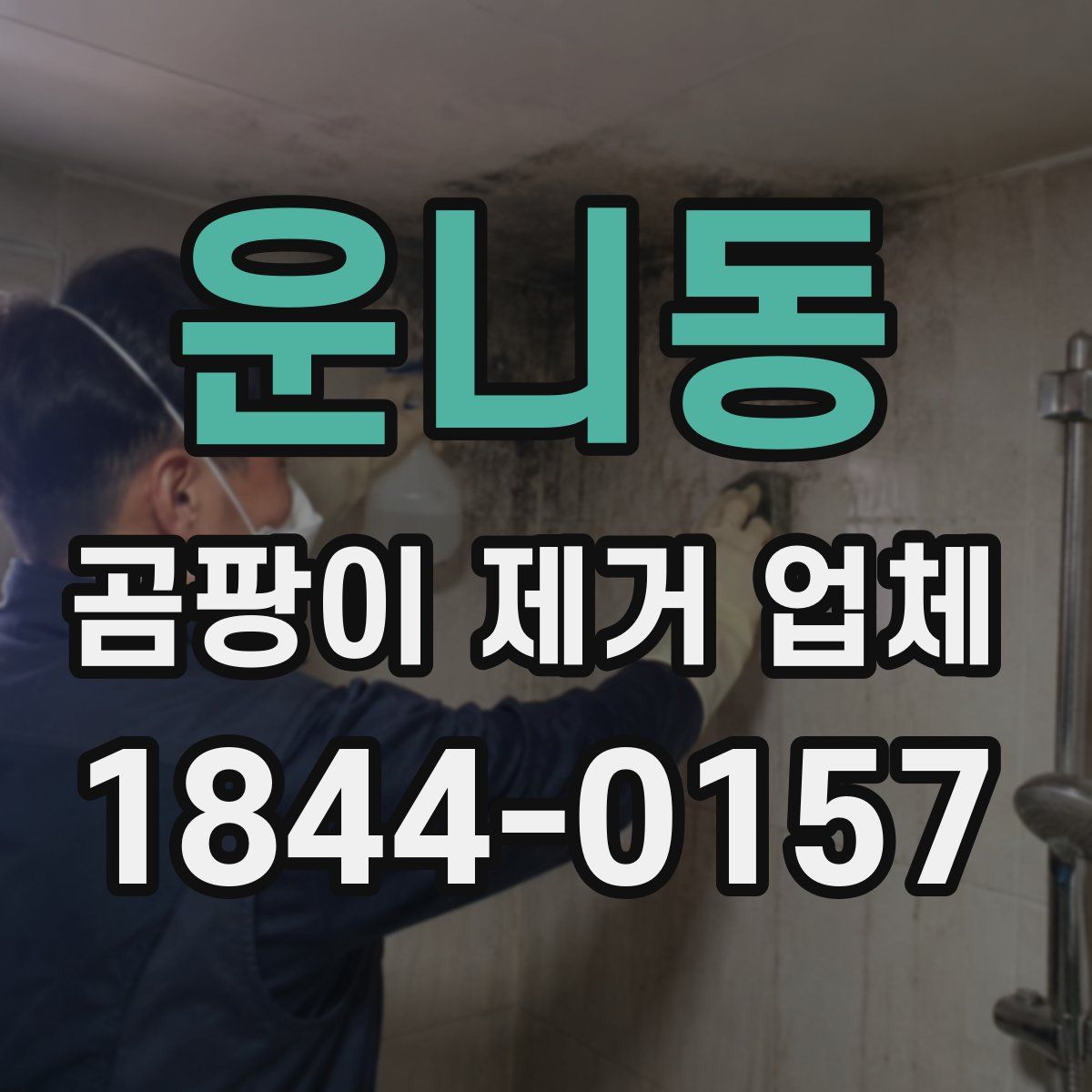 운니동 곰팡이 제거 업체