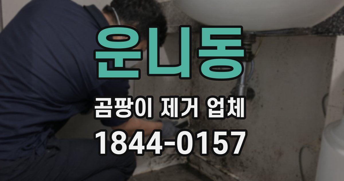 운니동 곰팡이 제거 업체