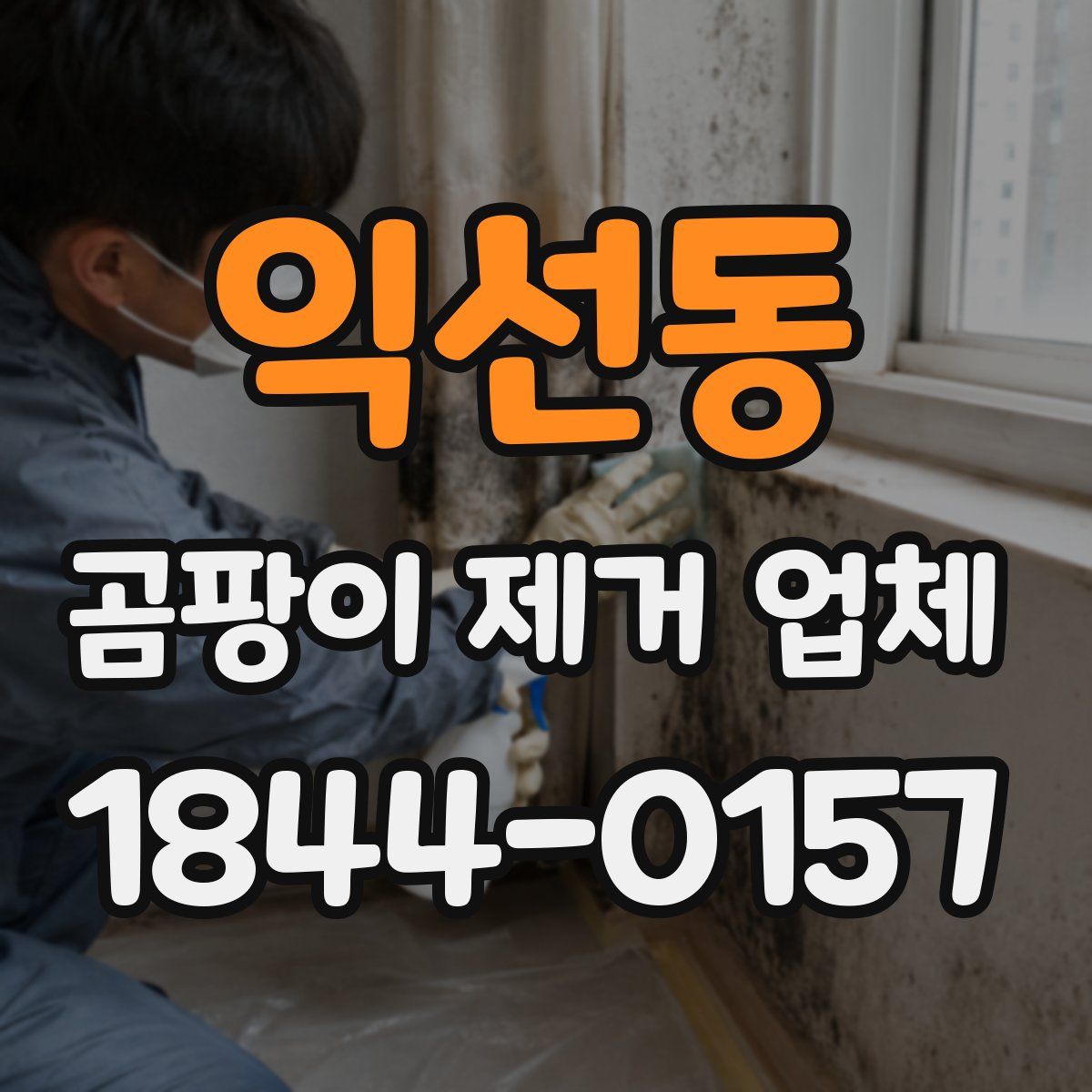 익선동 곰팡이 제거 업체