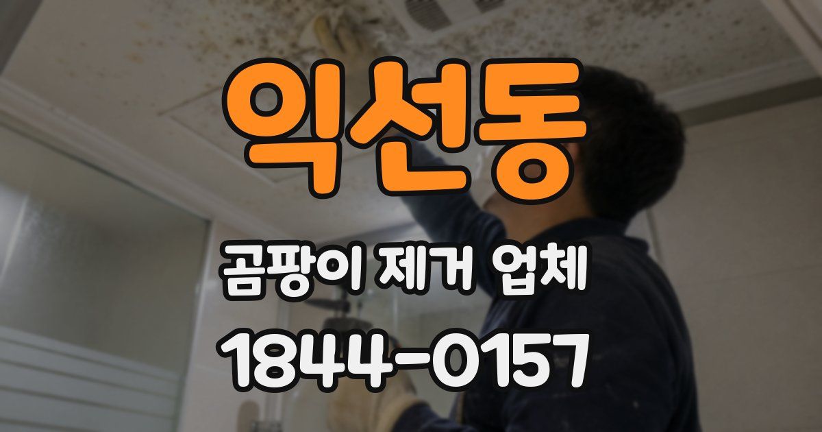 익선동 곰팡이 제거 업체