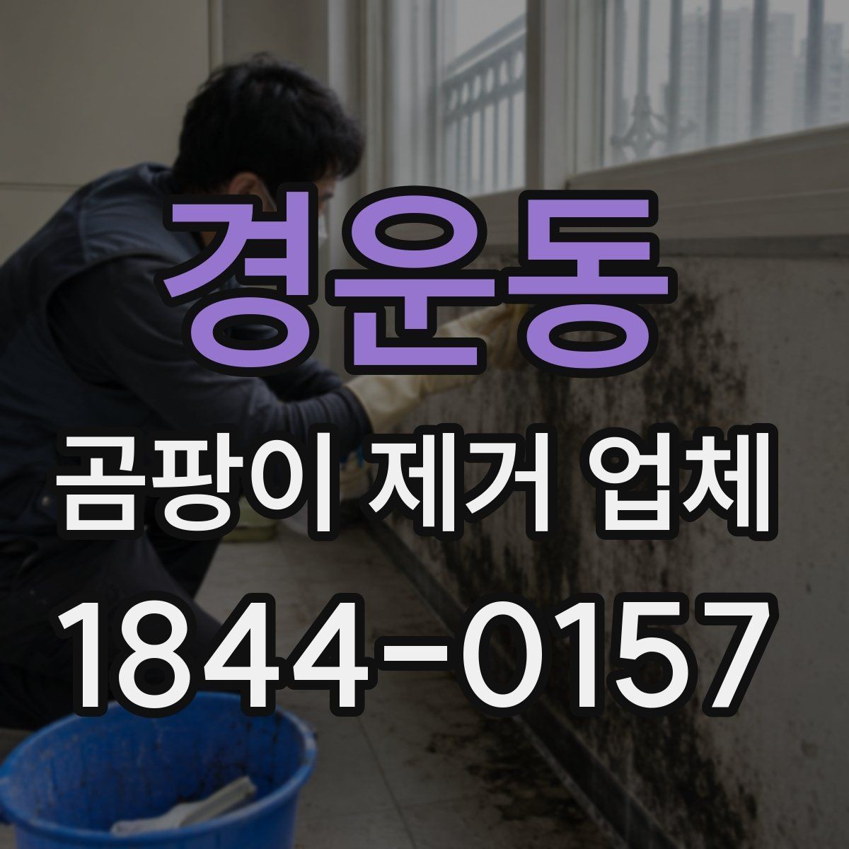 경운동 곰팡이 제거 업체 재발 원인부터 확인해야 하는 공간의 특징