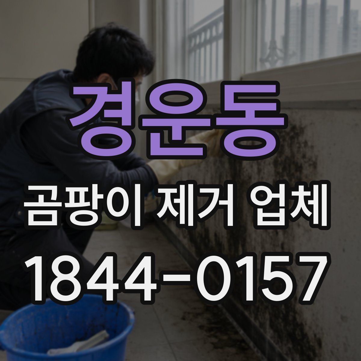 경운동 곰팡이 제거 업체