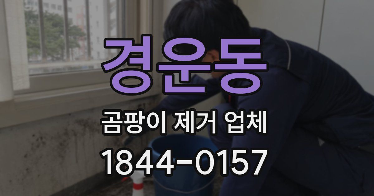 경운동 곰팡이 제거 업체