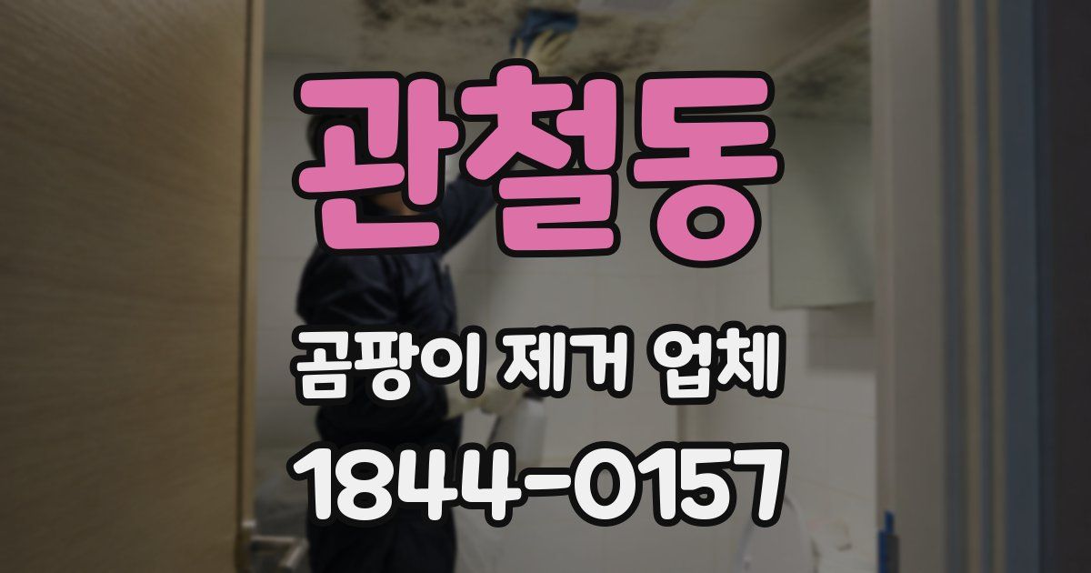관철동 곰팡이 제거 업체