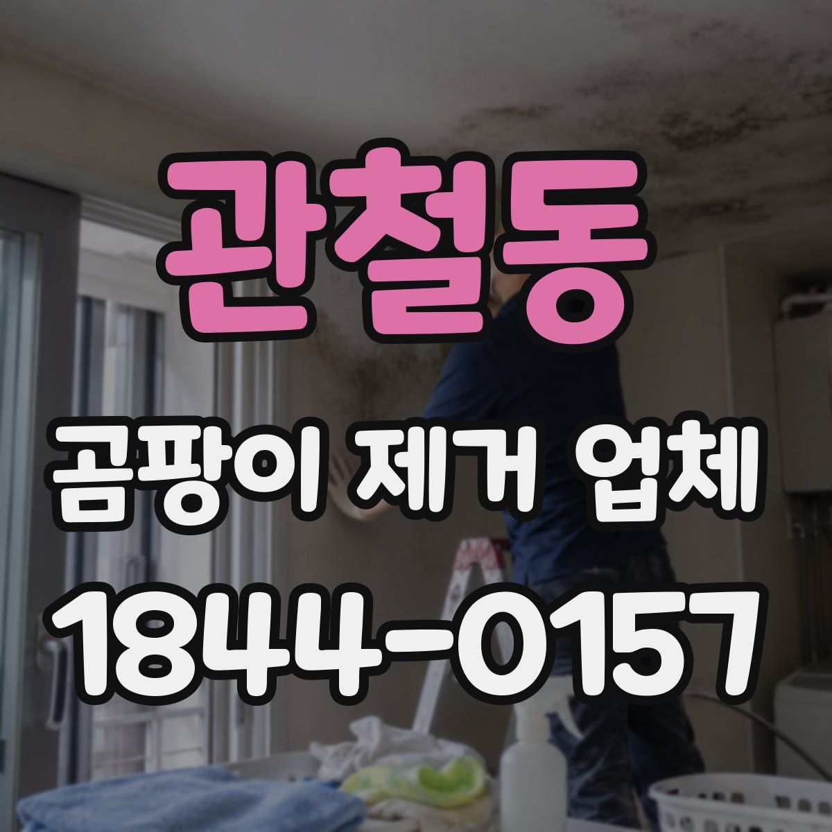 관철동 곰팡이 제거 업체