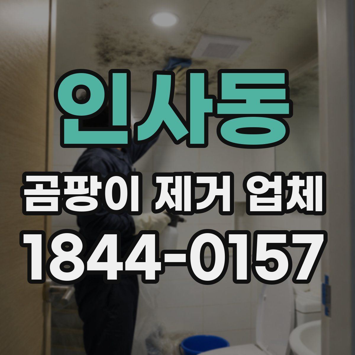인사동 곰팡이 제거 업체