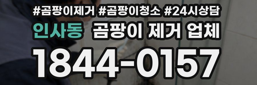 인사동 곰팡이 제거 업체