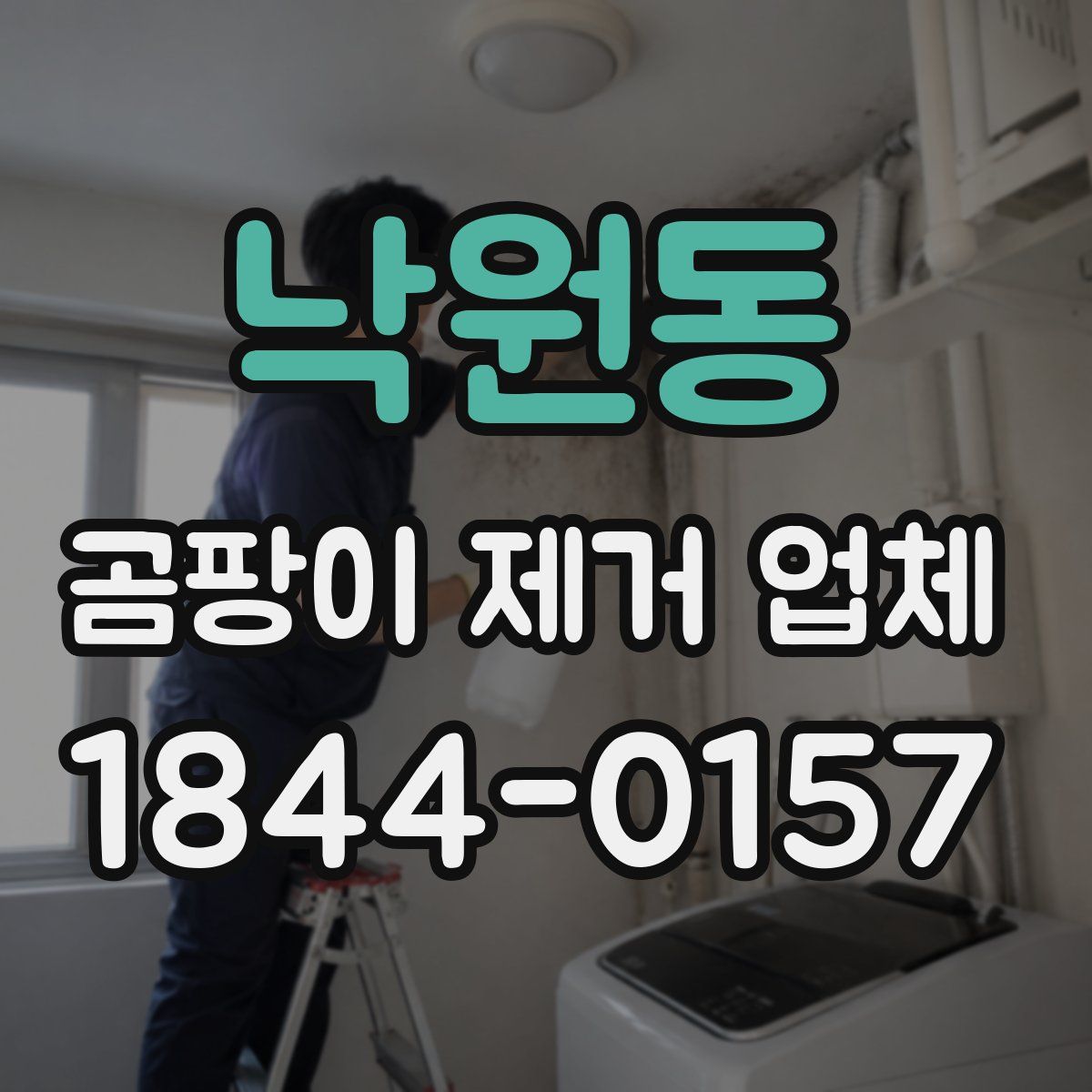 낙원동 곰팡이 제거 업체