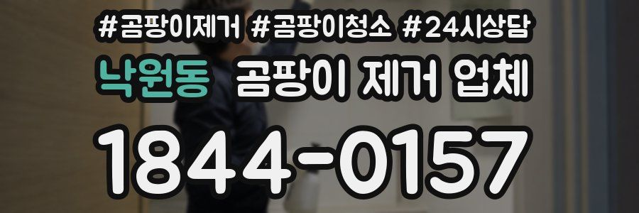 낙원동 곰팡이 제거 업체