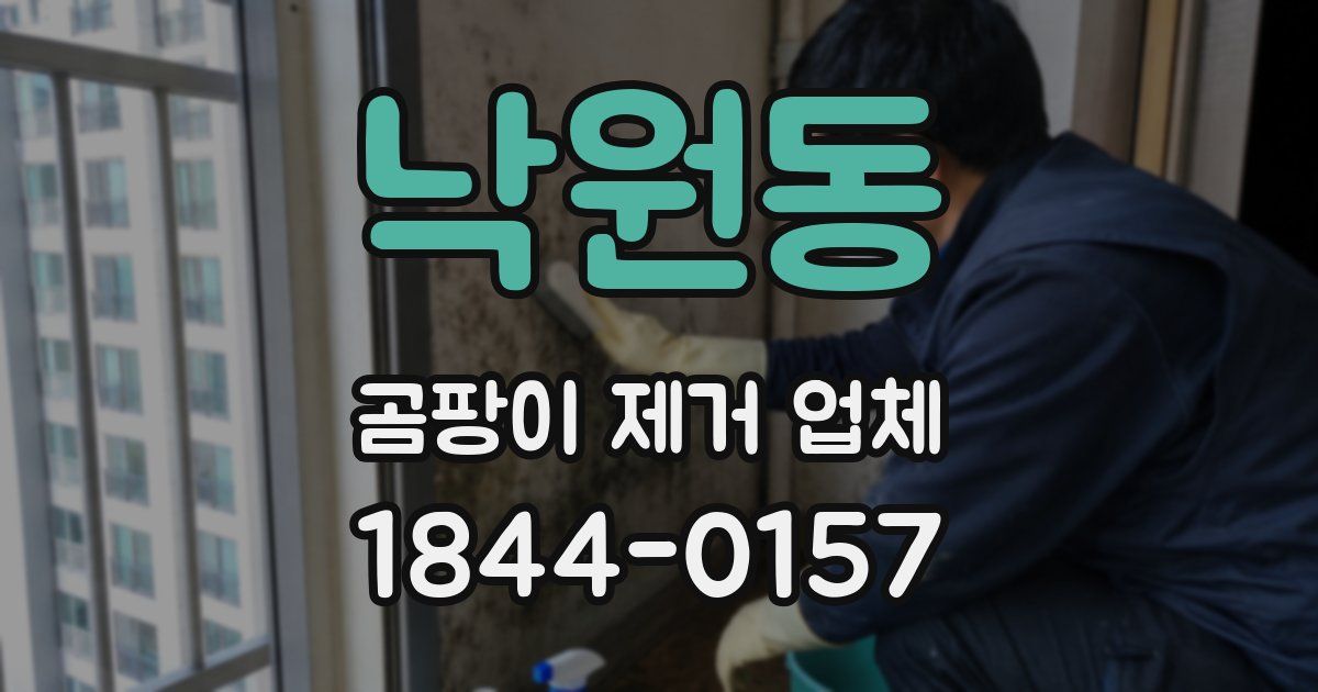 낙원동 곰팡이 제거 업체