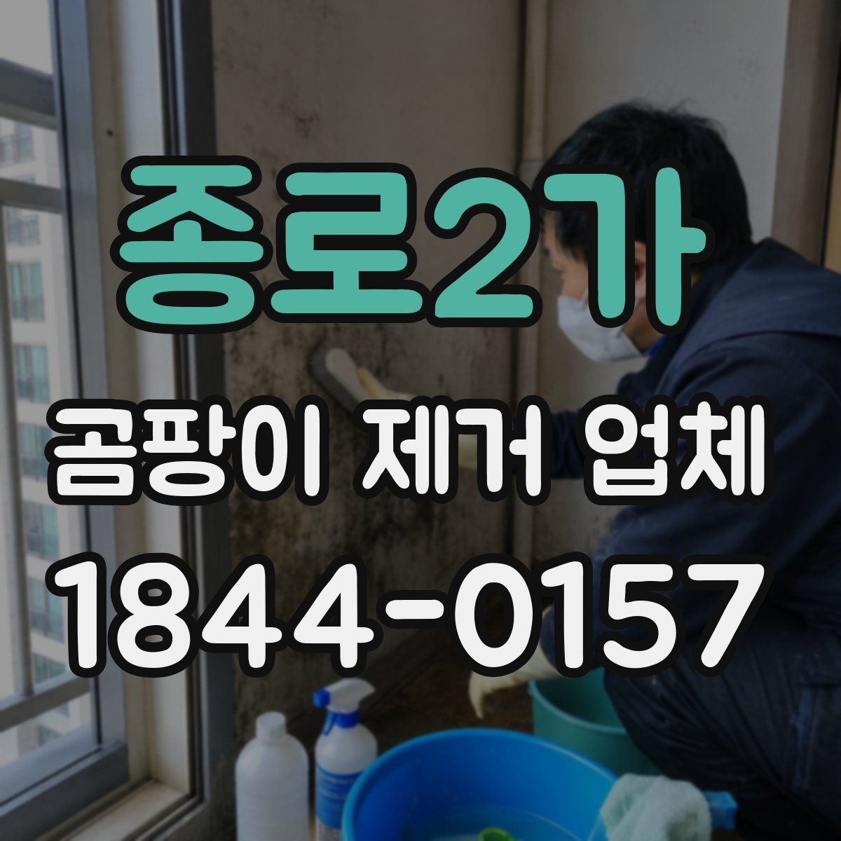 종로2가 곰팡이 제거 업체