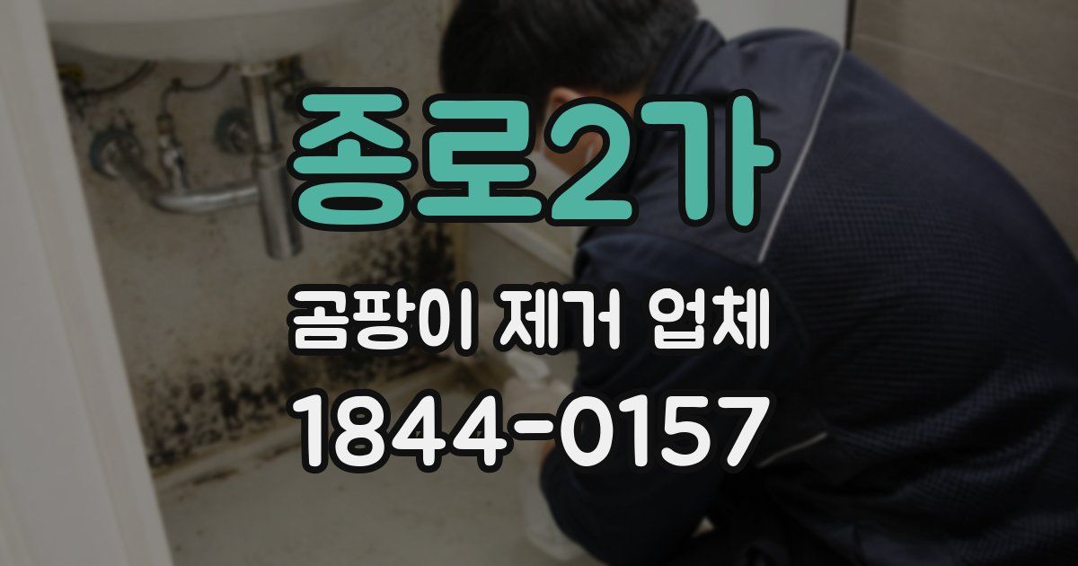 종로2가 곰팡이 제거 업체