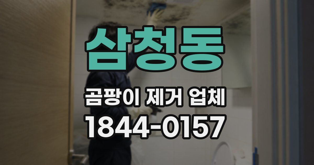 삼청동 곰팡이 제거 업체