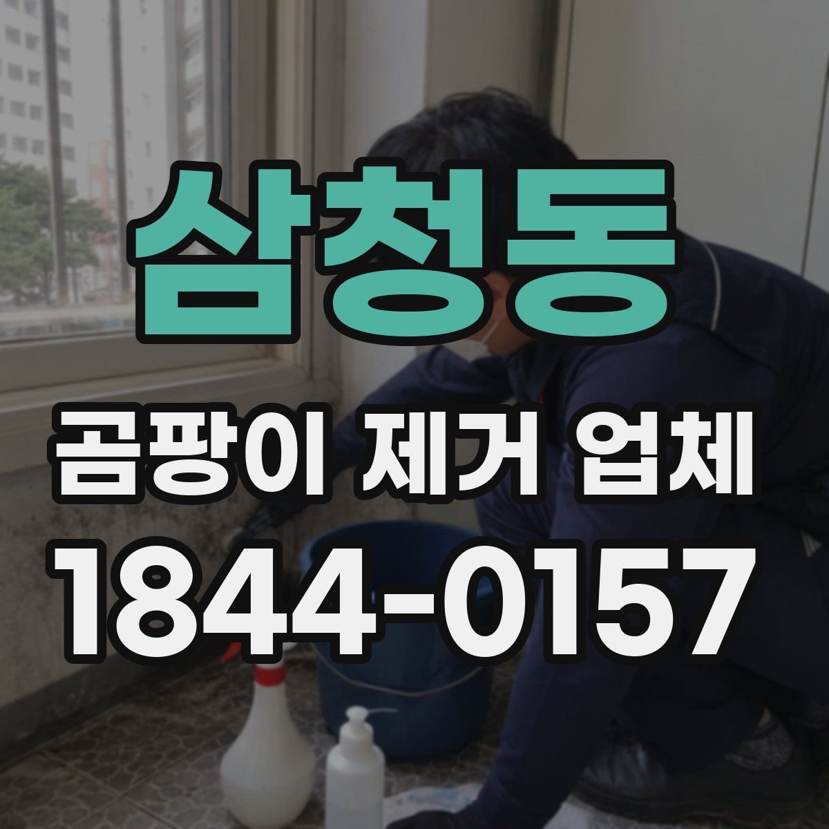 삼청동 곰팡이 제거 업체